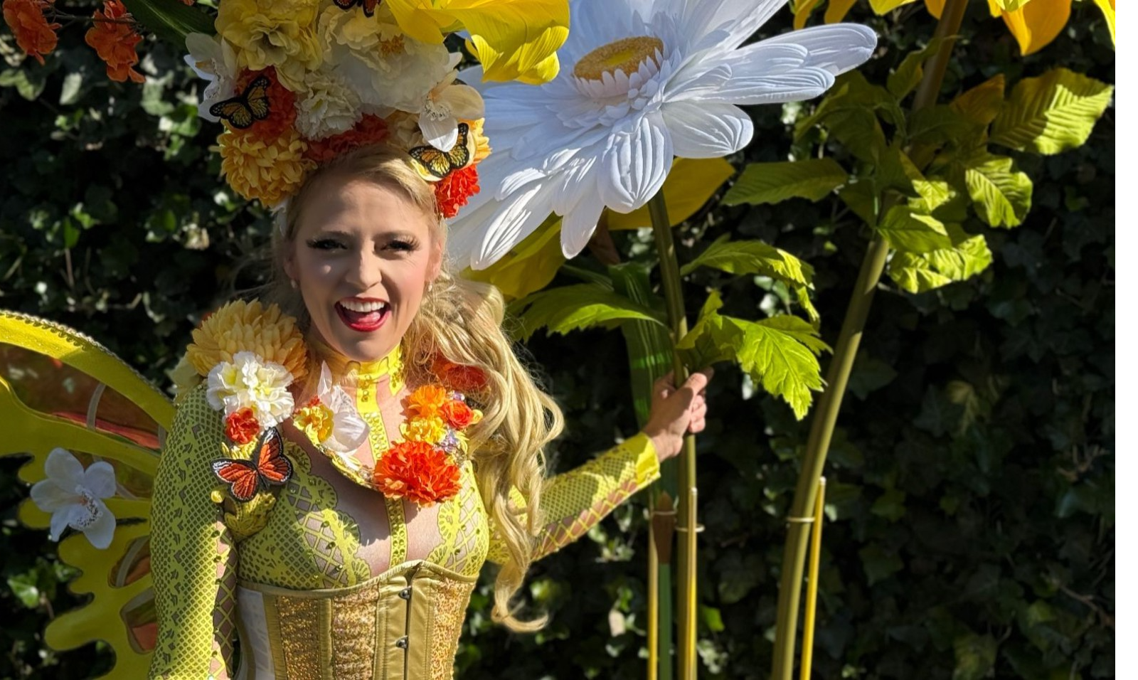 Zonneklanken