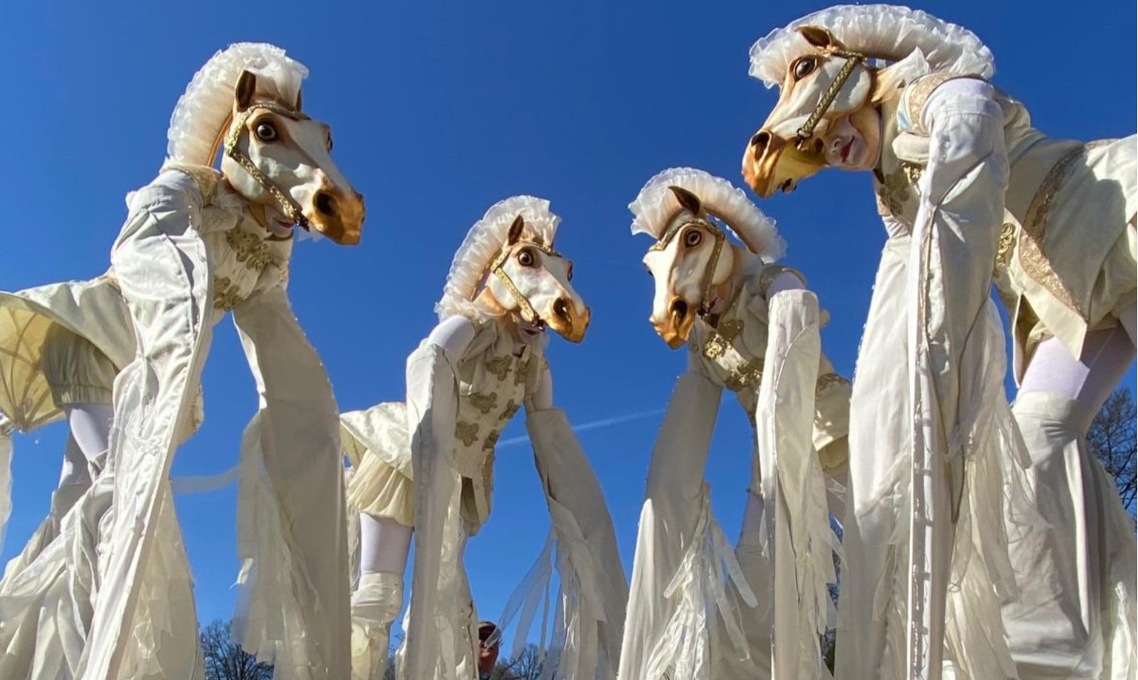 Magic White Horses